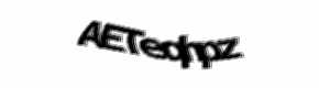 Security check image, please type the characters shown